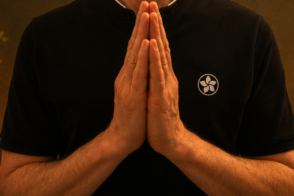 qi gong new