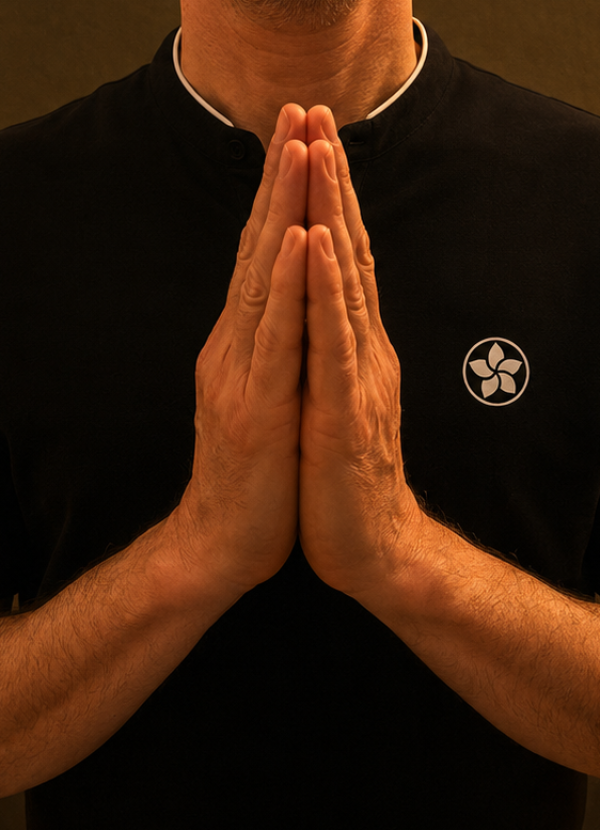 qi gong new